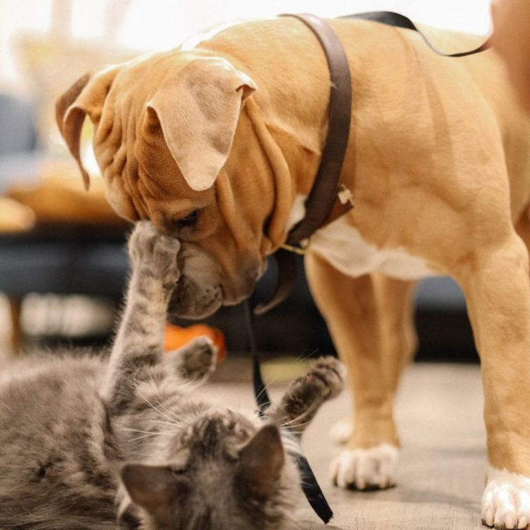 Quelle: Unsplash.com - Foto: kevin turcios